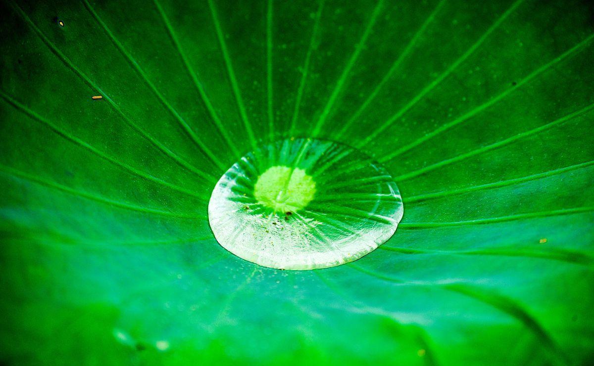 |7月爱不随意，勇往直前，舍弃旧爱，迎来新欢的3个星座