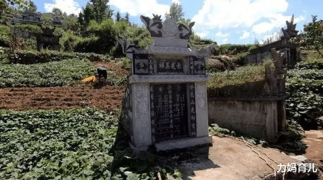 『科学家』“火葬”即将过时了！科学家发明最新“入殓”方式，网友：你敢接受吗?