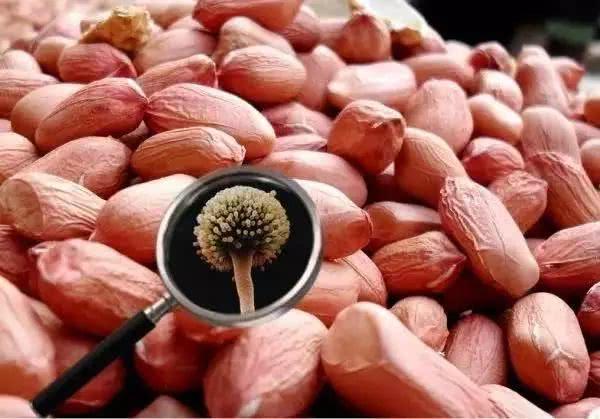 肝脏@28岁小伙，频繁腹痛，查出肝癌，平时不喝酒，却常吃2种食物