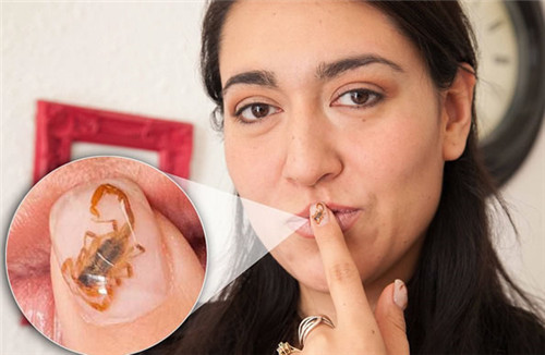 「美甲」致命毒蝎做美甲15分钟可以让死亡