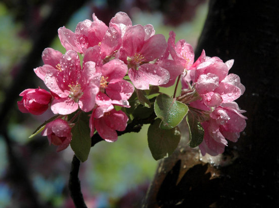 爱情运|11月21日开始，4属相运势爆发，横财不断，富贵多财，过上好日子