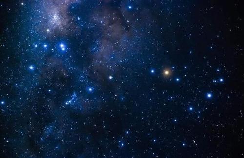 显微镜|把树叶放大300万倍，会怎么样？科学家：这简直是一个“宇宙”