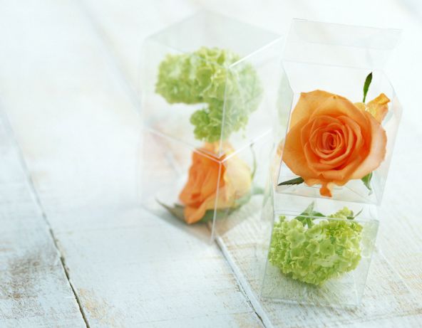 生肖|今生有好报的3大生肖女，一生积德行善，子孙后代都会洪福齐天！