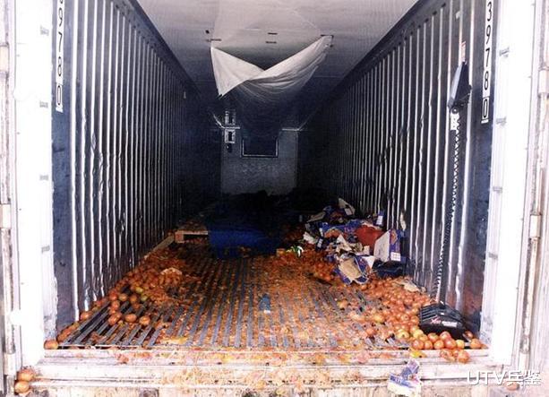 細節曝光！警方公佈英國貨車39名越南人凍死場景，極度觸目驚心-圖2
