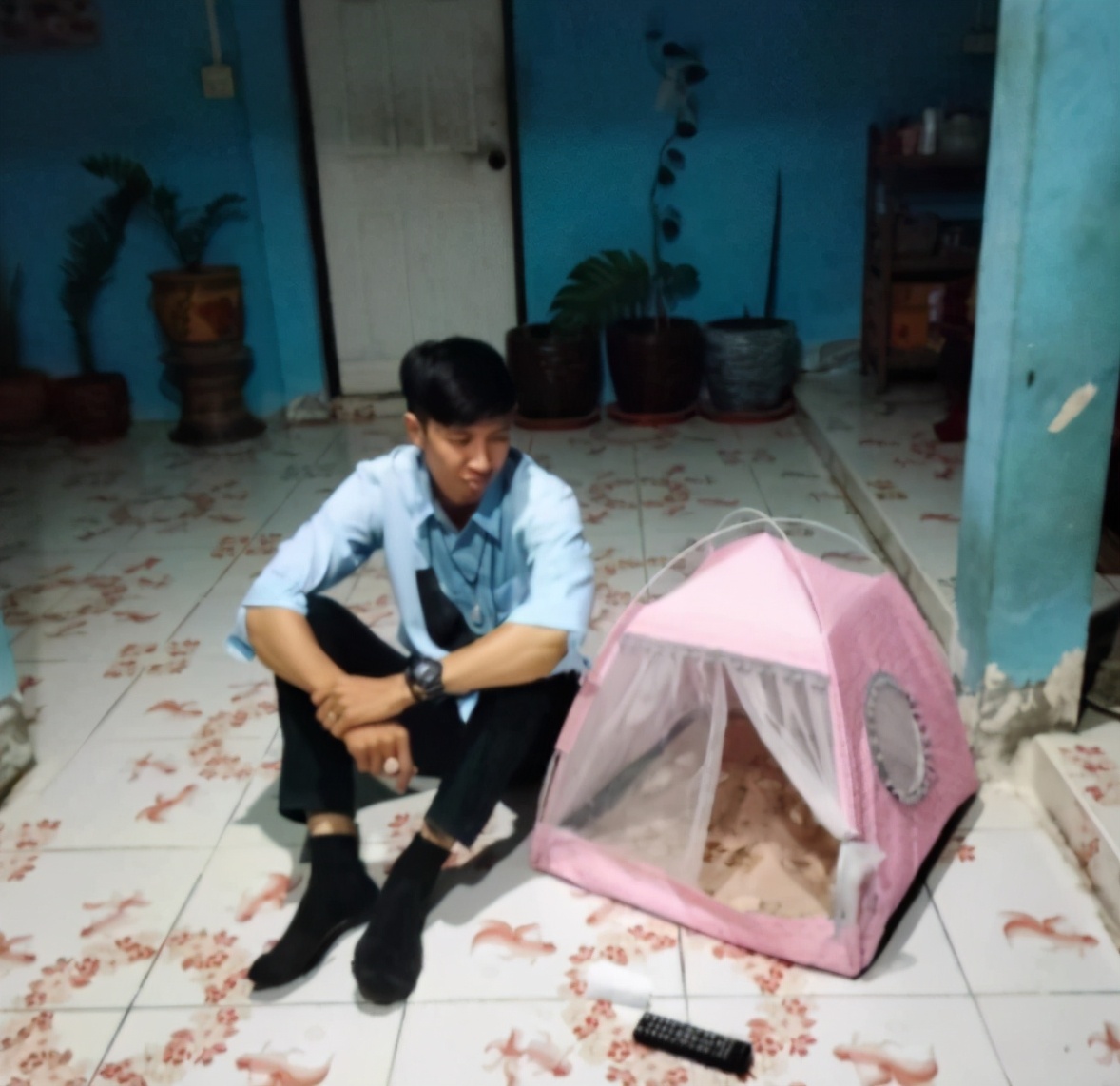 露营|想跟女友露营，泰国男双十一图便宜买情侣帐篷，货到之后傻眼了