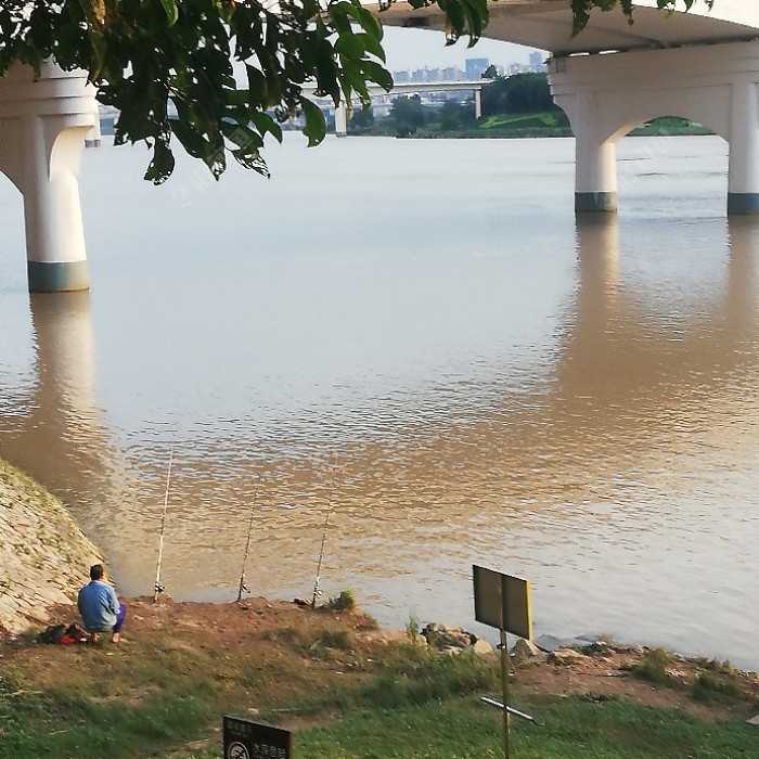 豆腐|故乡的鱼，俺又回来了