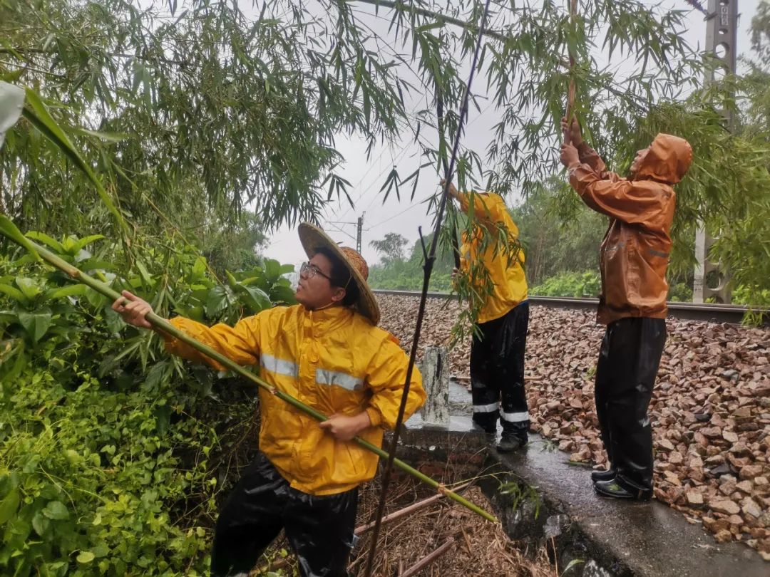 台风|台风今夜登陆，广西这些列车停运！还有大风大雨即将来临！
