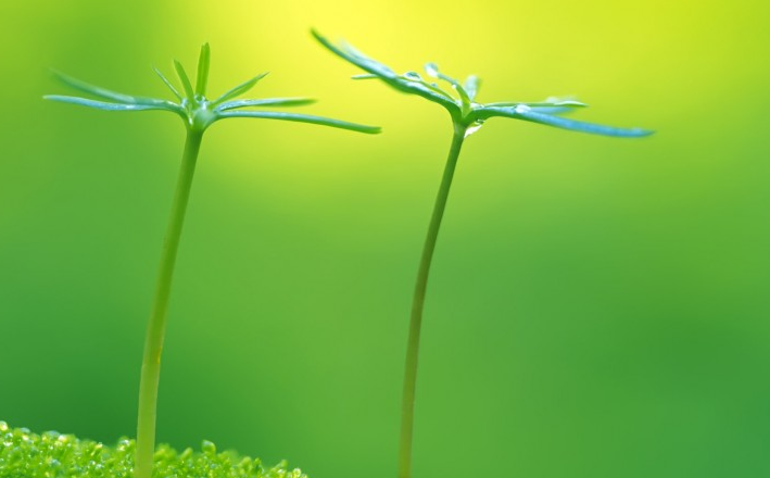 生肖|8月桃花袭来，财运起飞，事业节节高升，事业节节高升的属相