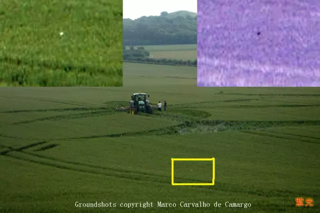 「麦田怪圈」仔细看看麦田怪圈里的植物，就知道人类不可能制造出这种东西！