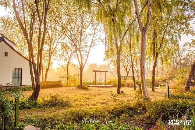 西溪湿地|乘船入户十里芳菲，西溪湿地一房一景秋色如画