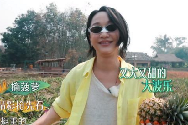 黄磊@《向往4》来了真正的大牌，穿5万衣服干农活，赖着不走黄磊默许