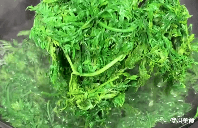 饺子|天冷了,用这菜包饺子,比白菜韭菜鲜,平时都扔掉不要,太可惜了