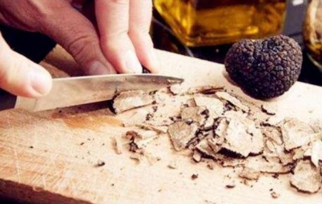 「法国」它在法国，吃一口就要几千美金，却在中国被嫌弃，烂在路边无人识