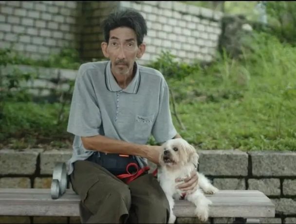 刘亦菲|曾是香港金牌配角，入行31年却无力葬母，如今60岁菜市场当监督