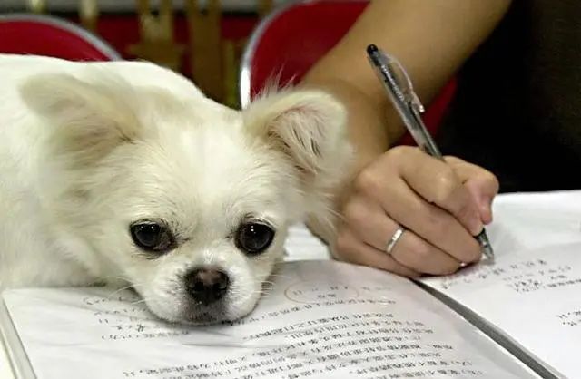 狂犬病|突破！我国科学家找到抑制狂犬病毒关键“开关”