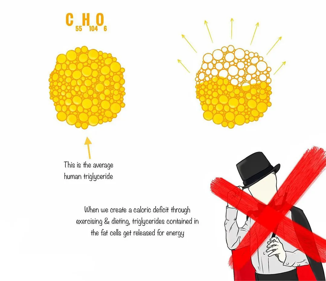 深蹲|本文极易引起健身姿势刷新，请务必认真阅读