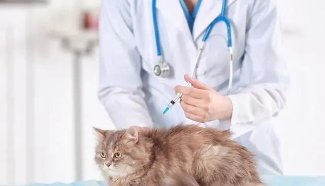 【高校】大学里很“冷门”的6个专业,需求量却很大,学生就业率很高