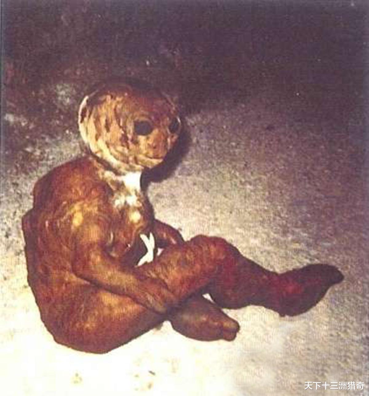 外星生物|外星生物真存在吗？菲利韦托事件，奇异生物是什么，至今没有定论