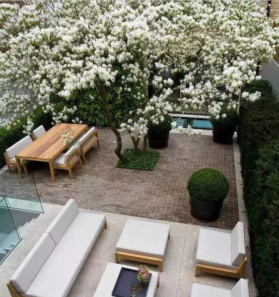 ▲一楼带院子，究竟该怎么设计？