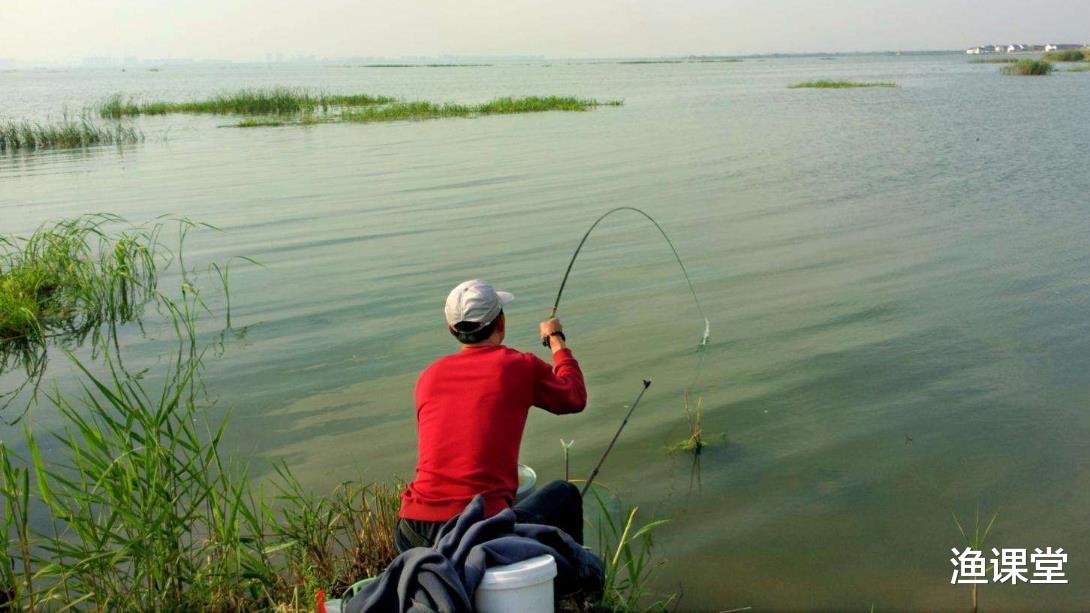 |钓鱼新手为啥总“提竿不中鱼”?主因很多人都忽略了,其实很简单