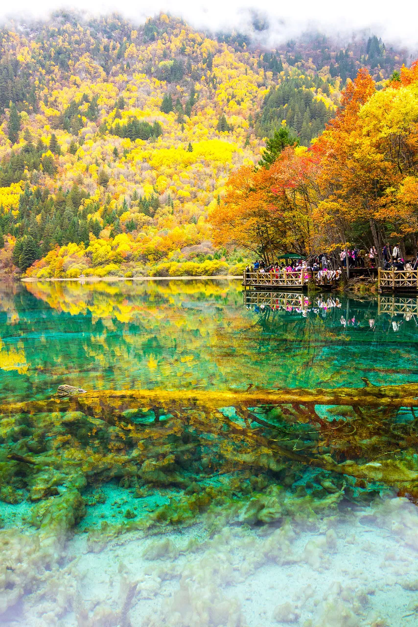阿尔山|2020只剩最后三分之一，这12个地方再不去会遗憾到底！