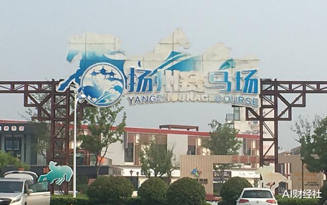 #扬州#扬州新地标运营方破产,名下赛马遭拍卖抵债,一匹汗血马叫价9万