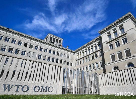 在世貿支持下，36國設立新機制取代WTO仲裁機構，美國反對無效-圖4