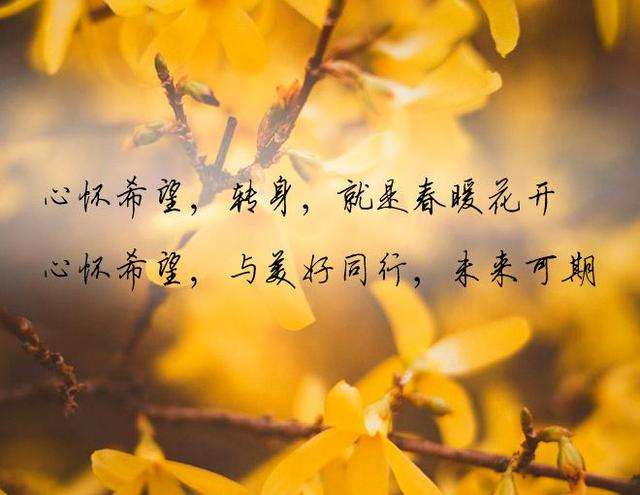 「美国国债」网贷逾期日记04.24