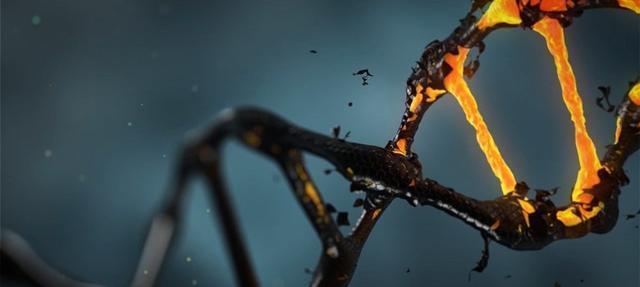 「科学家」科学家发现：所有人类都是20万年前一对夫妇的后代