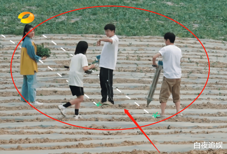 [张子枫]《向往4》嘉宾种瓜苗，镜头扫过张子枫的裤脚，是不是真干活很明显