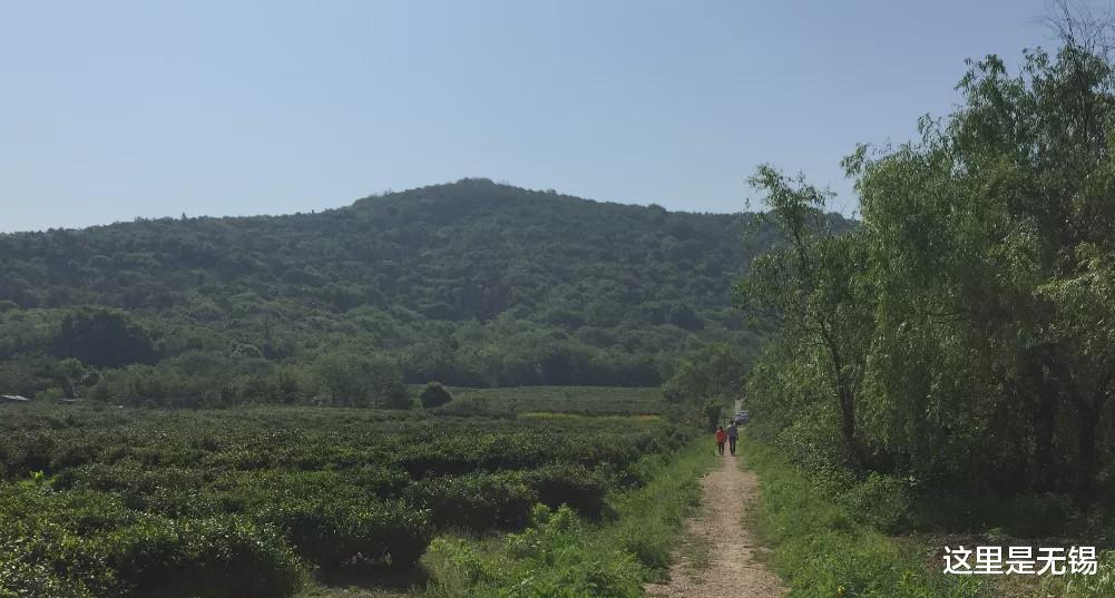 「无锡」无锡藏着一条状元古道，新晋徒步旅游路线，人少、景好、新鲜感足