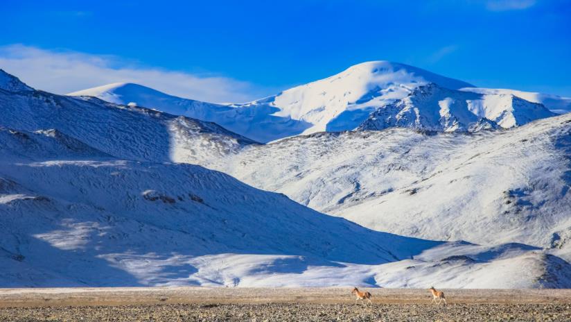 |中国第一神山昆仑山,为何要常年重兵把守?不说你可能还不知道