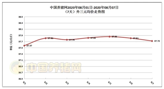 猛漲變暴跌？豬價全面震蕩，“壓價潮”來瞭？-圖1