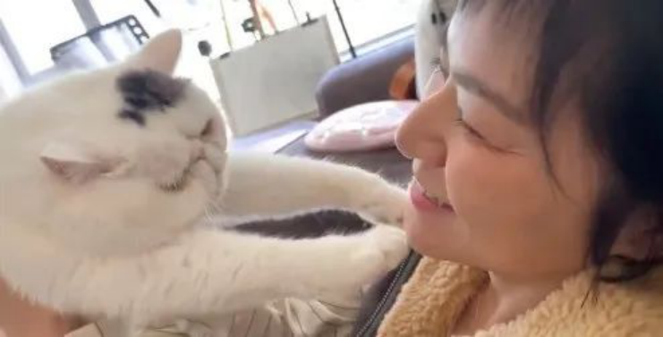 程璐|她这塌了的人设，靠脱口秀还能洗回来吗？