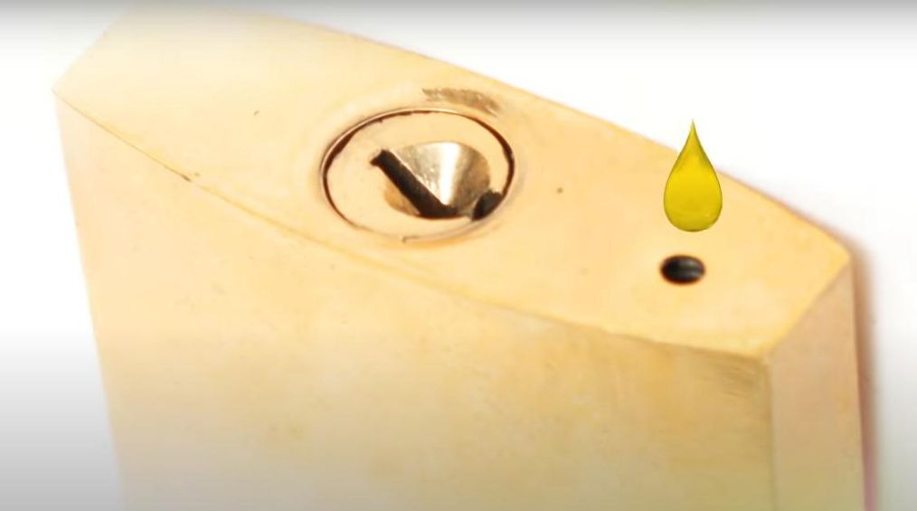 「世界真奇妙」科学冷知识 看过才知道世界真奇妙 那些神奇的秘密（第十八期）