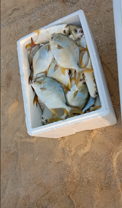 金鲳鱼|跟老船长出海到神秘钓点，渔获狂拉不断，卖了一千多块钱