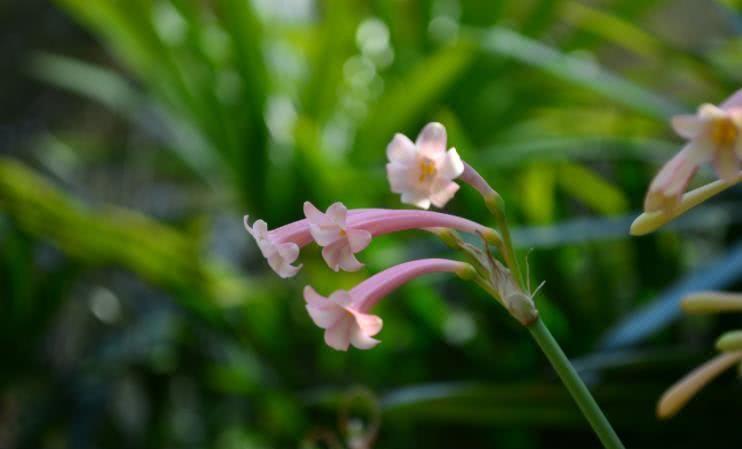 生肖|8月财库大开，事业顺风，顺遂如意的四大生肖