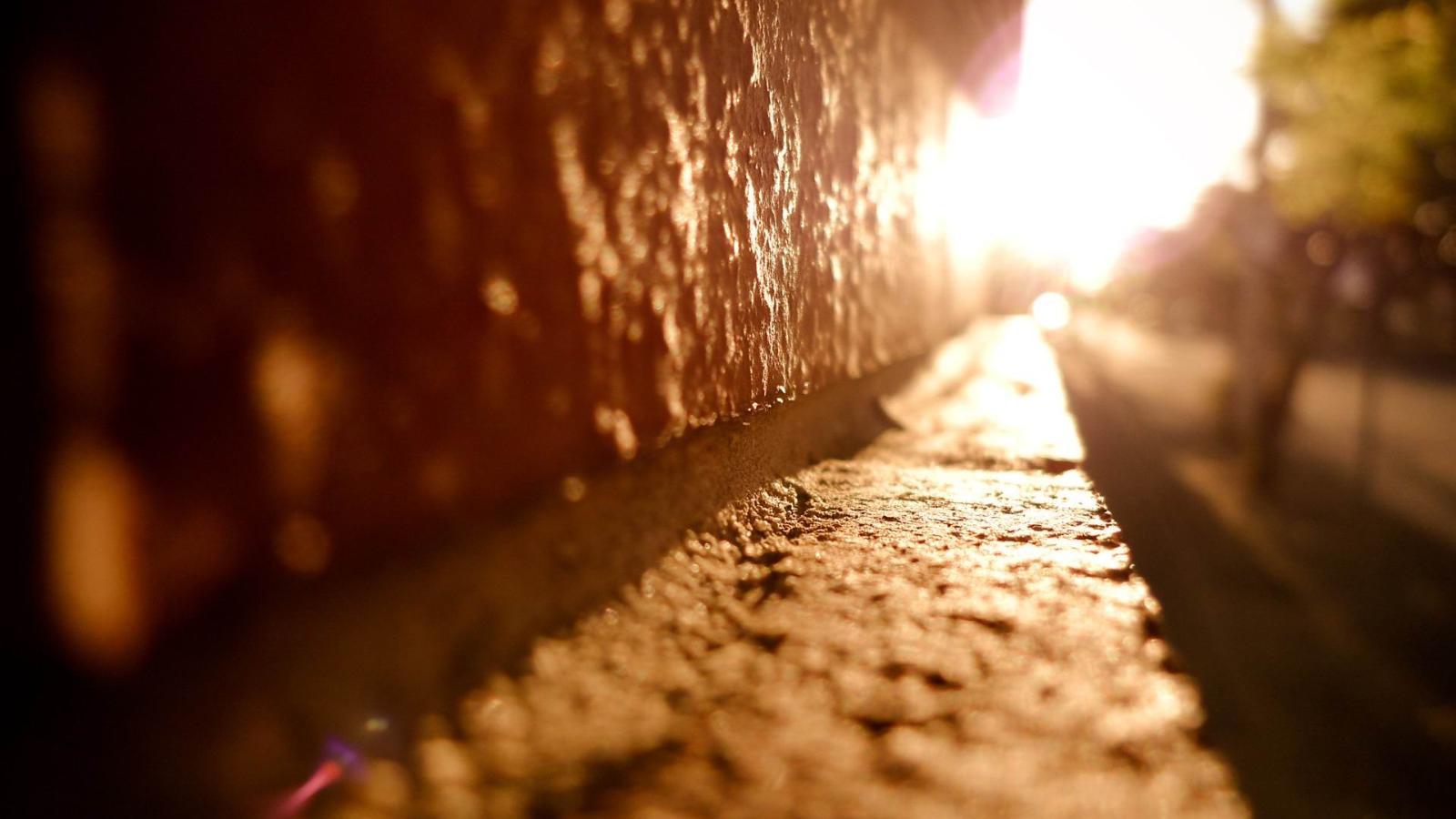 运势|猫巫占卜星座周运2020年7.20-7.26：面对困难，享受收获