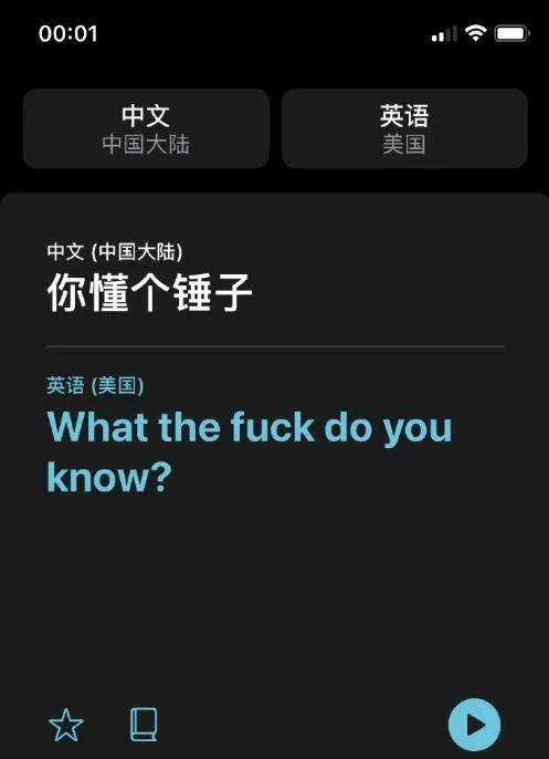 翻译|iOS14的翻译真挺懂的