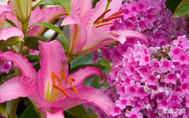 #射手座#想和射手座甜蜜相爱，应该怎么做？