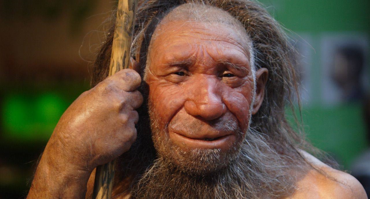 #隔离#人类与动物之间有生殖隔离,为什么不同人种之间却没有?