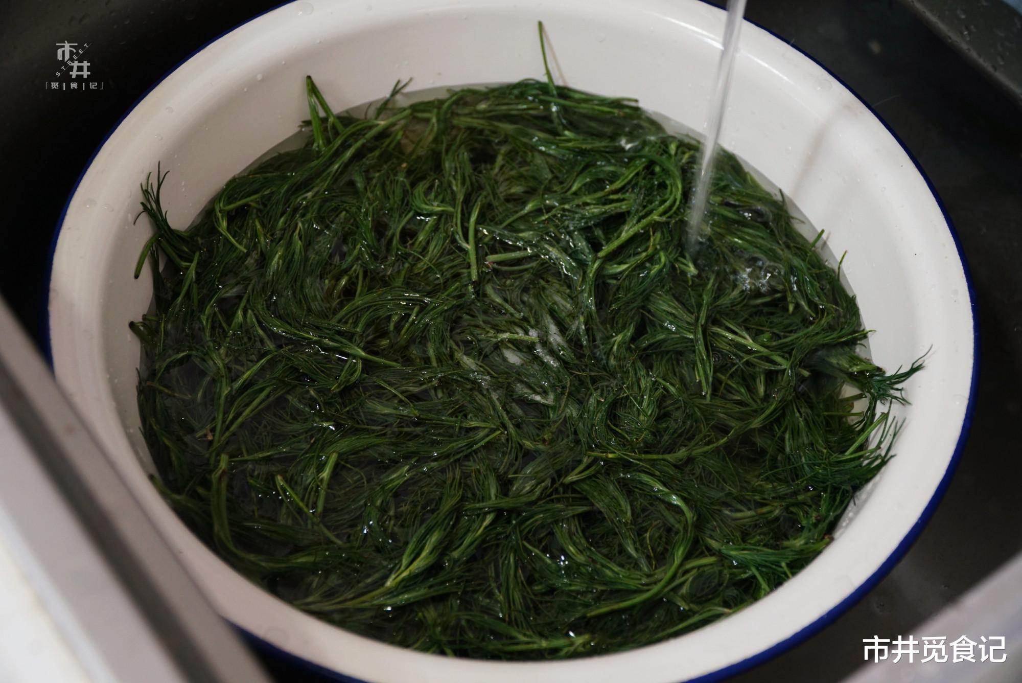 「凉拌」这“菜”长路边如杂草，爷爷却常采回家，总说年龄大了得多吃