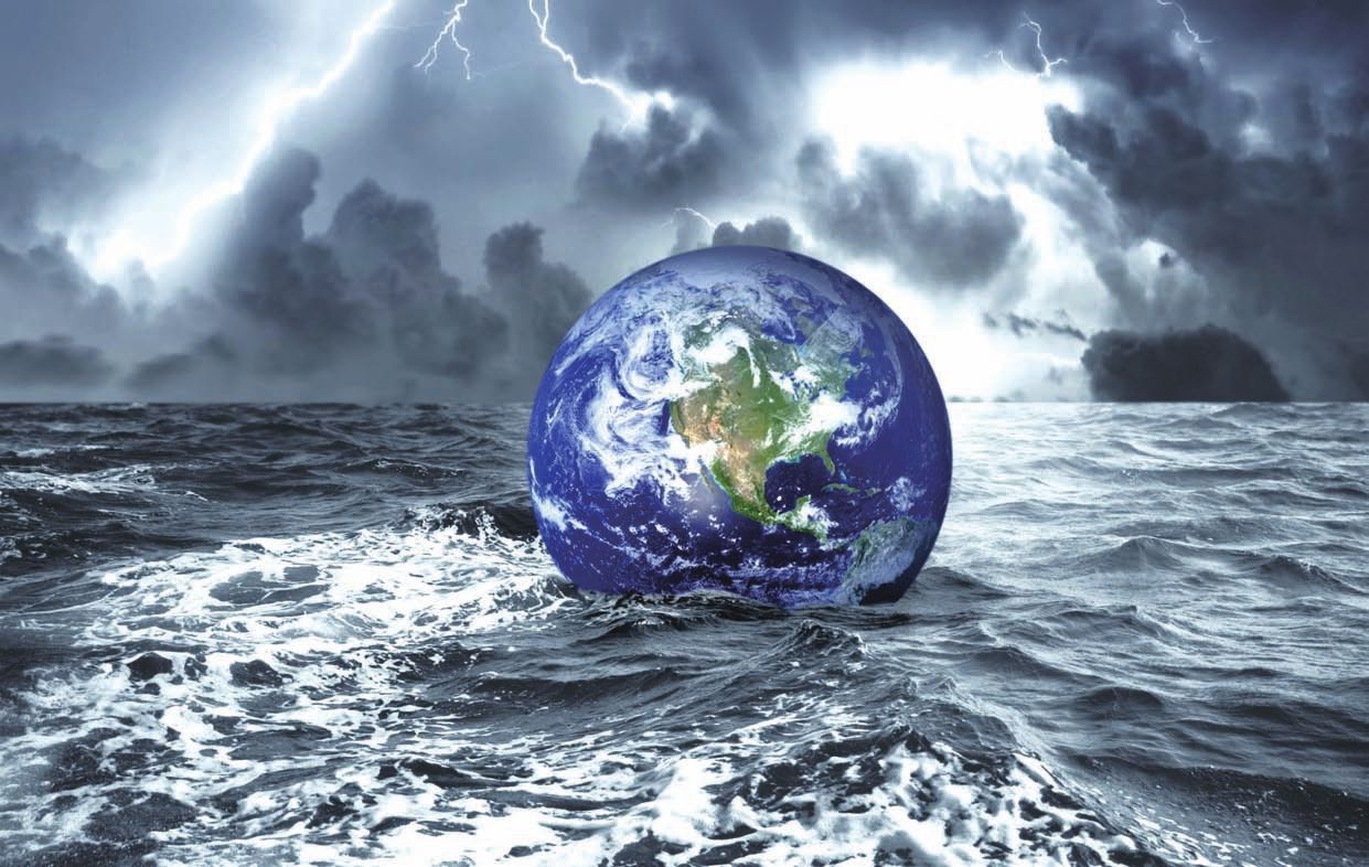 大熊猫|地球上的水哪来的呢?