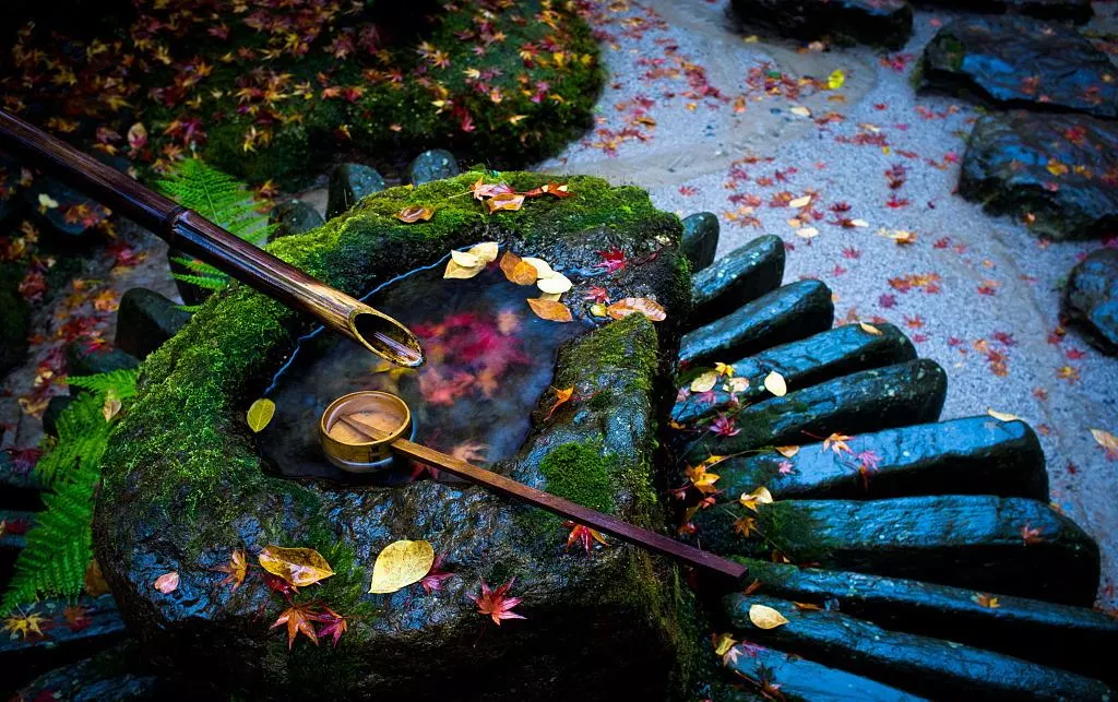 一楼带院子是福，还是祸？！