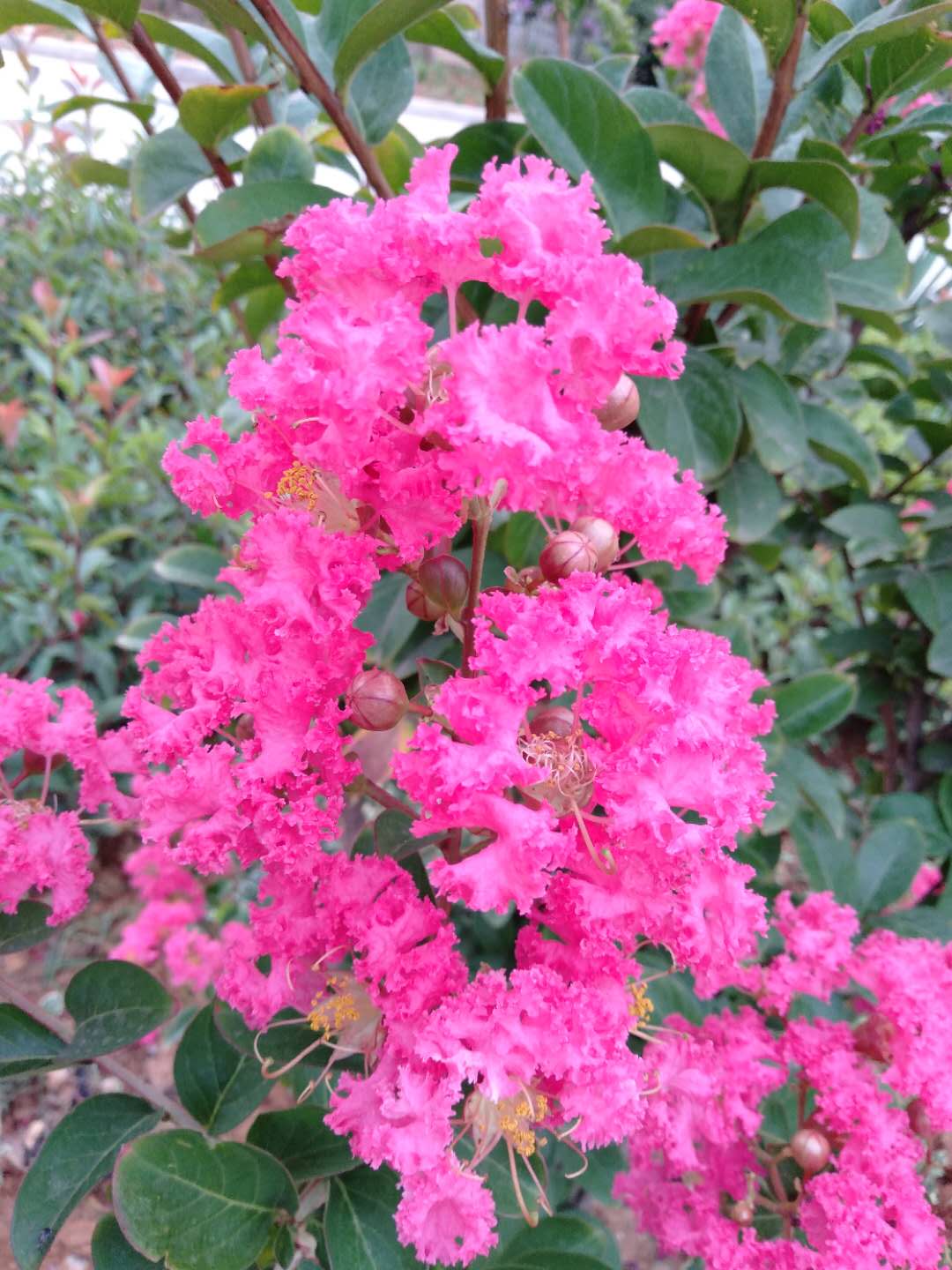 「高考作文」2020年高考作文命题预测(二)