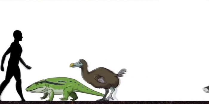 恐龙|远古时期的地球, 曾存在过的可怕生物, 今已全部灭绝
