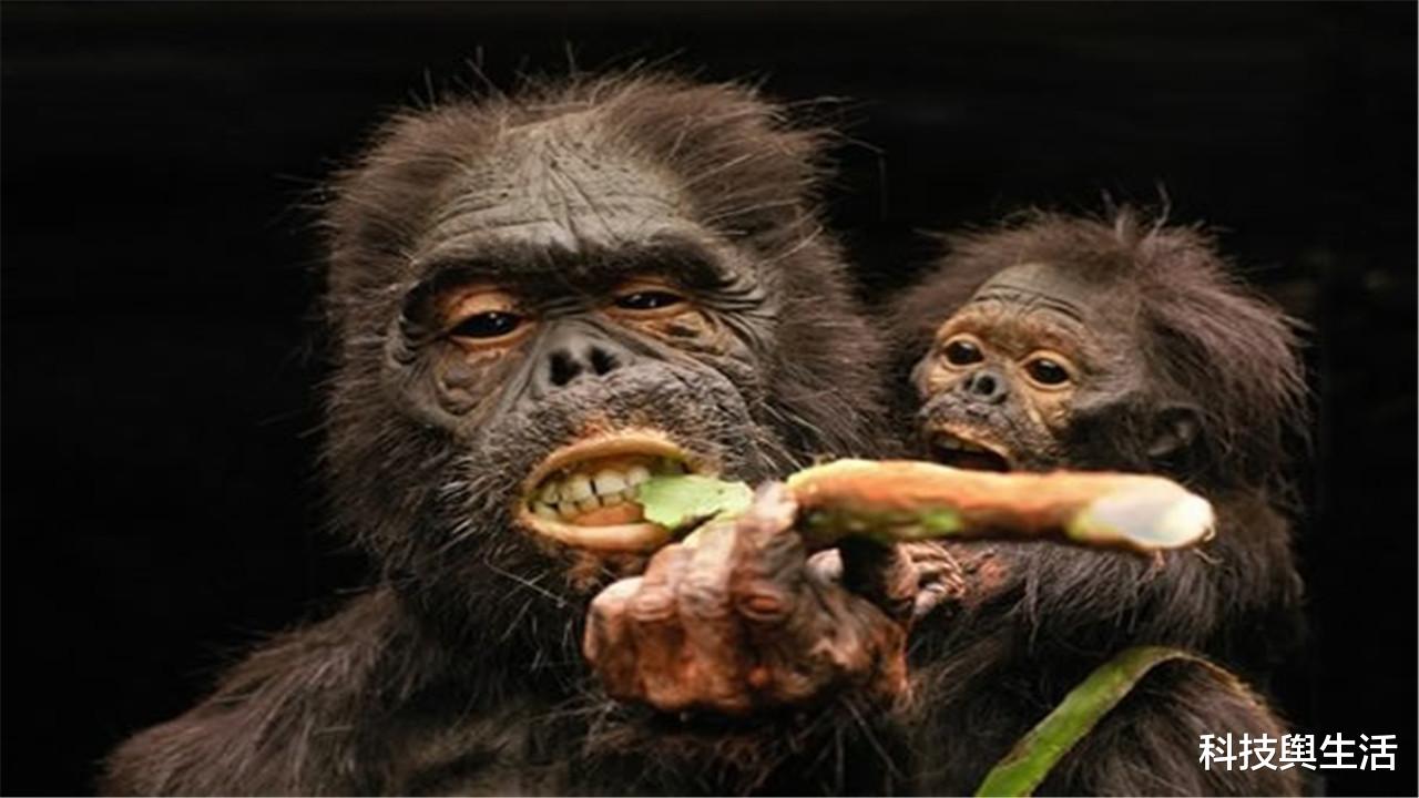 科学家|10万年后的人类是怎样的？科学家公布模拟图，庆幸自己出生的早！