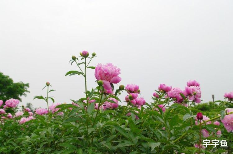 霉运|9月开始步步高升，霉运消失，有福气相随的四大生肖