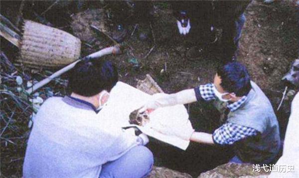 猴娃|“猴娃”的身世之谜：23年前专家对其尸检后，发现六大疑点