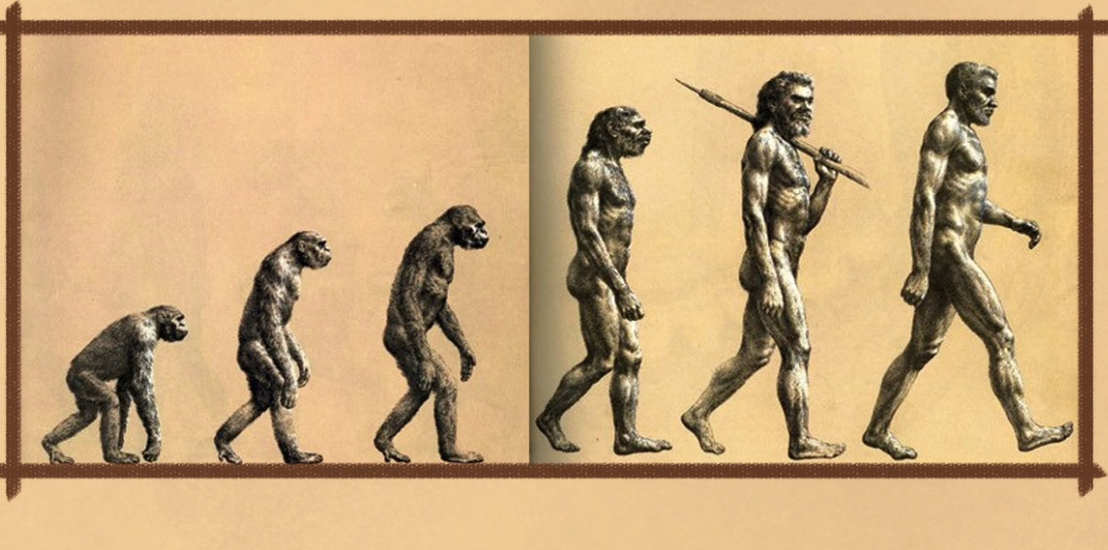 #基因#发现一基因变异猴子，上半身已进化成人类模样，它还能继续进化？